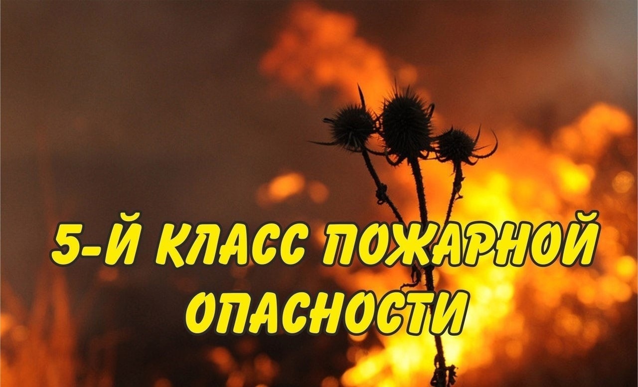 Внимание! В Воронежской области установлен V класс пожарной опасности.